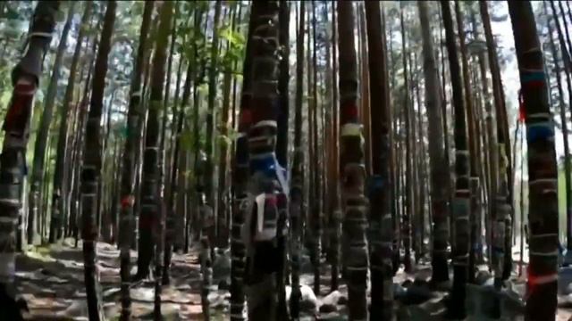Проект "История в танце" смотреть онлайн