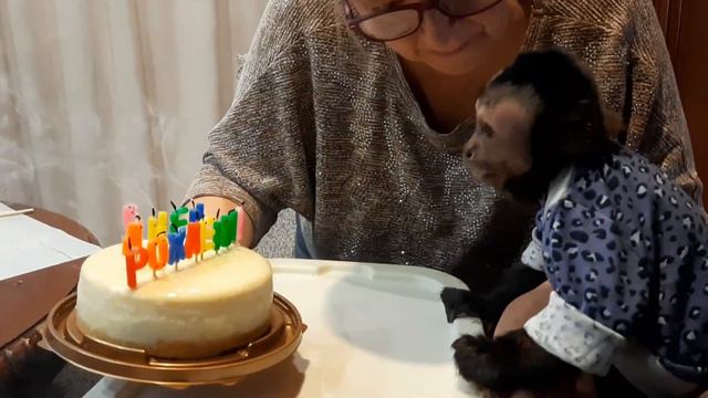 Юбилей,Ульяне 5 лет /празднуем день рождение обезьянки смотреть онлайн