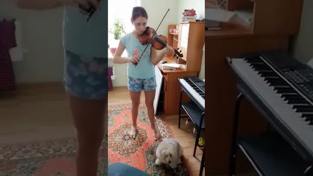 Настя мая сестра икрает на згрипки смотреть онлайн