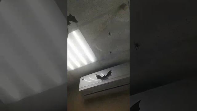 Тюмень, 30 лет победы 81 смотреть онлайн