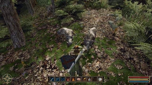 Gothic 3 Полное Прохождение. Часть 30 - Аног и Люди Для Окары. #gothic3 смотреть онлайн