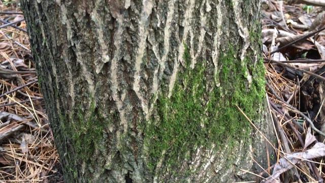 Осень. Минск 2017 смотреть онлайн