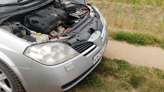 Воздушный сигнал на Nissan Primera P12