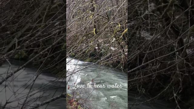 Mill Creek #nature #stream #melting #snow #short video🩵💦🩵 смотреть онлайн