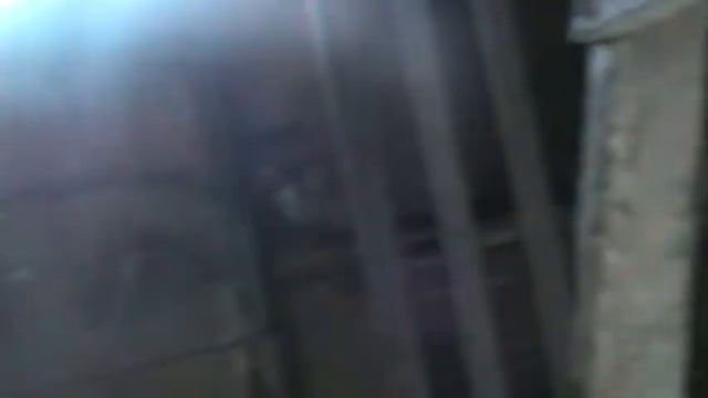 Растения и их история