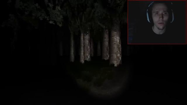 Scary Games - Slender Game Attempt 4 - ENDING MADE ME CRY! :'( смотреть онлайн