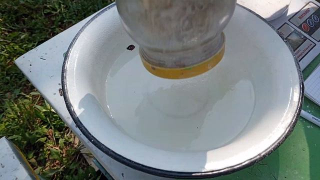 Перед обработкой пчел от клеща делаем это :) попытка номер один(смотреть до конца):))) смотреть онлайн