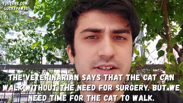 Kitten With Traumatic Broken Hip Cried At Man For Help -Kitten Rescue Before And After | Lucky Paw смотреть онлайн