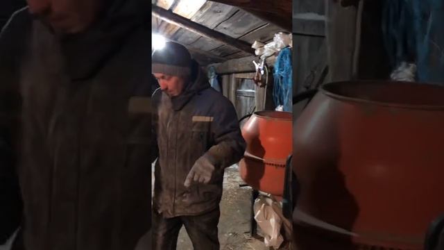 Домашний комбикормовый завод. Дешёвый комбикорм. Проще простого. смотреть онлайн