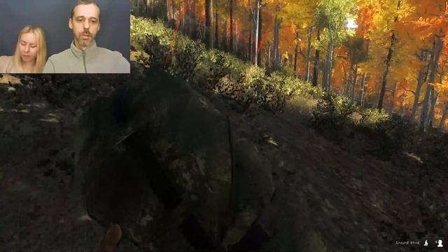 TheHunter - лицензии нет - охотимся на волка - вечерний стрим с Наташей смотреть онлайн