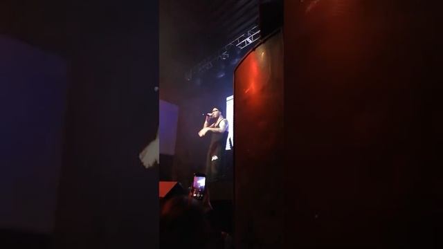 Типси Тип - Лес дал