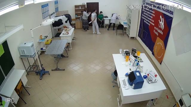 VI Региональный чемпионат "Молодые профессионалы" WSR Респ. Башкортостан 2020, Ветеринария, День С3 смотреть онлайн