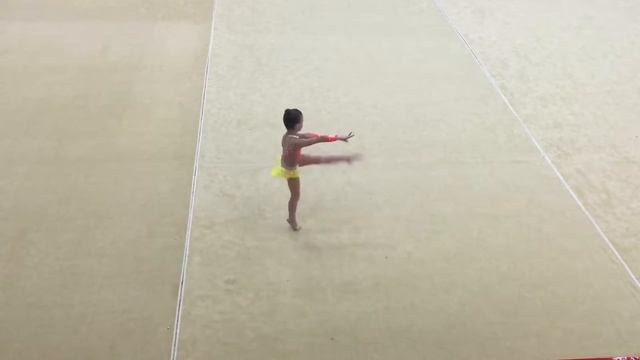 Художественная гимнастика Б/п 2008 г. смотреть онлайн