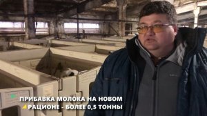 Откорм КРС эффективный способ для хозяйств и как сэкономить на кормах.