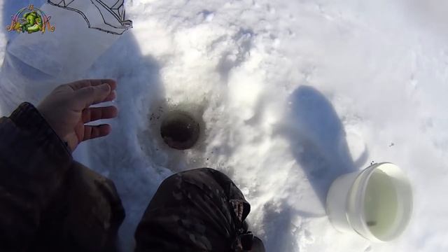 Зимняя рыбалка.Как КЛЮЁТ ПЛОТВА в СОЛНЕЧНУЮ ПОГОДУ. смотреть онлайн