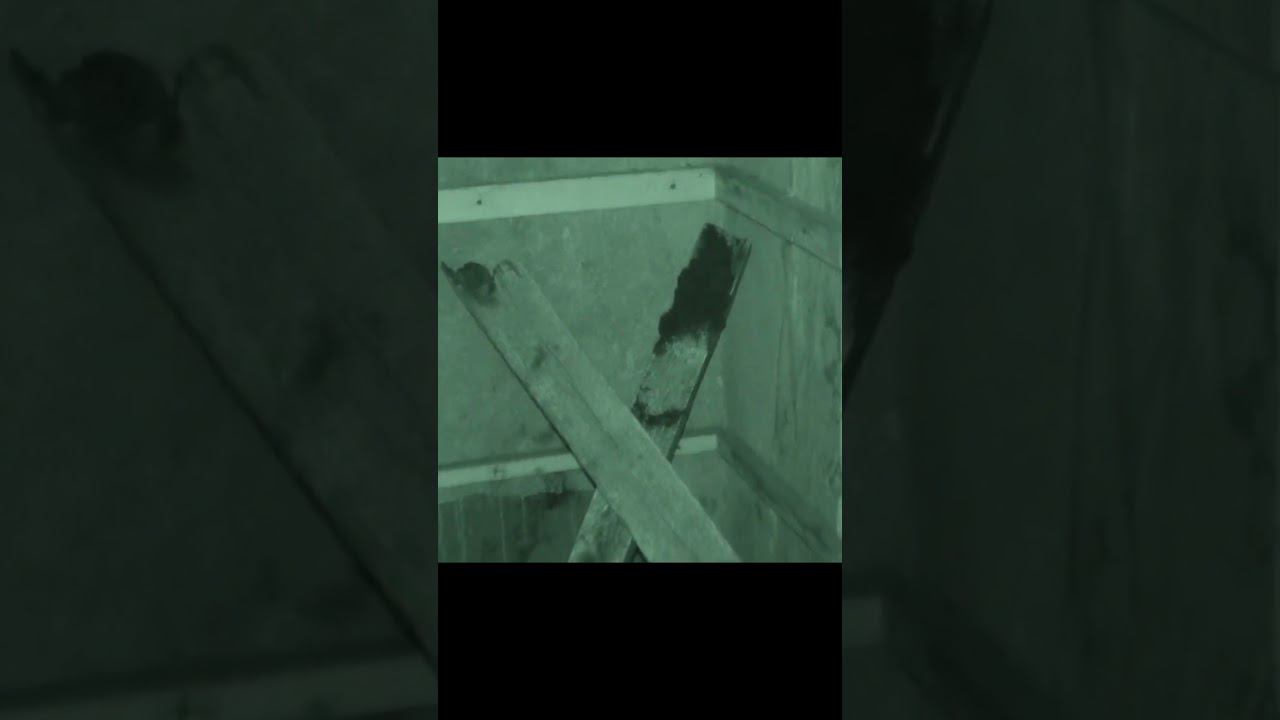 Нашел КРЕСТ на Заброшке #мистика смотреть онлайн