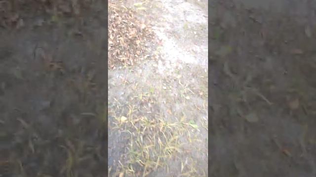 Упоротые школьники возвращаются домой(часть 3) (Загляните в описание) смотреть онлайн