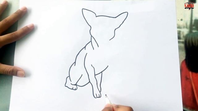 How to Draw Chihuahua Dog | Cute Chihuahua Drawing Easy Step by Step Tutorial смотреть онлайн