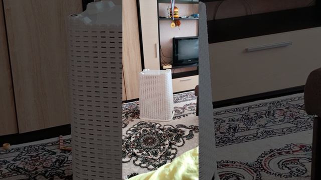 Кто здесь? Домовой!???Подписывайтесь на наш канал..