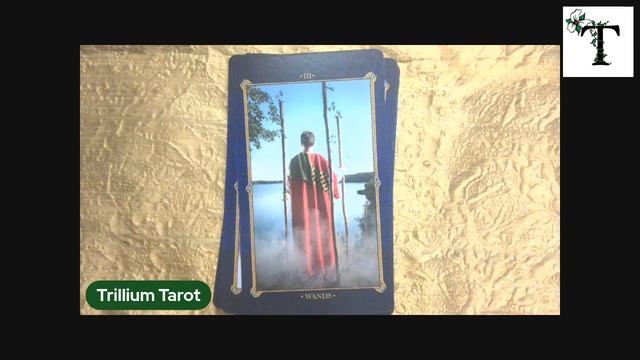 KICKSTARTER DECK - Amber Tarot (a Life Spirit Deck) смотреть онлайн