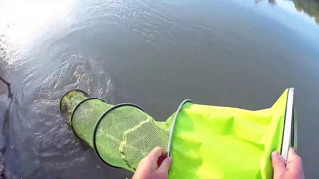 РЫБАЛКА В ВЕРХОВЬЕ ИЛИ 2021-2022/СХОДЫ УСАТОГО/ИЩЕМ ТРОФЕЙНОГО СОМА/БЫТ ВКУСНЫЙ ОБЕТ И СНОВА В ПУТЬ смотреть онлайн