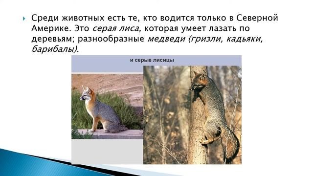 Растительный и животный мир. Северная Америка география 8 кл смотреть онлайн