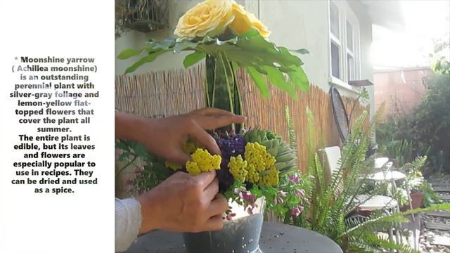 Yellow Roses Topiary