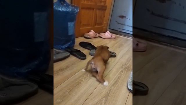 Я людей пугаю ночью. смотреть онлайн