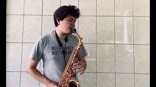 Born For You - David Pomeranz (Alto Saxophone Cover) | WindBerns смотреть онлайн