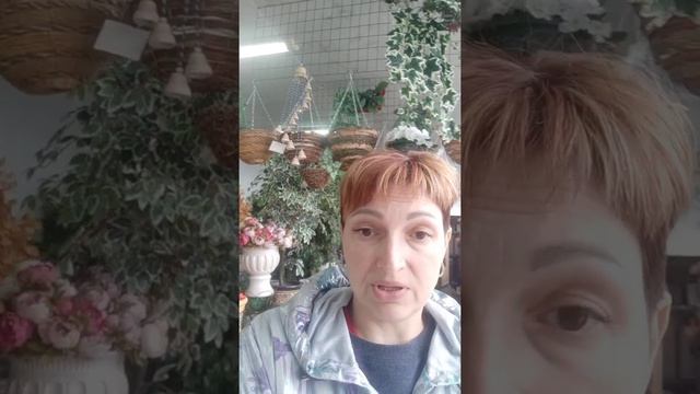 Где можно адаптировать сайт под мобильные устройства смотреть онлайн
