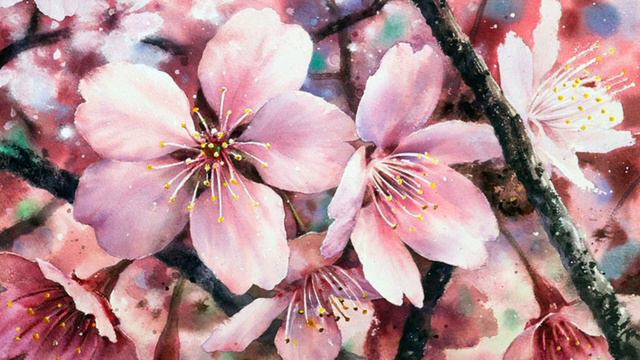 Вишневый Сад смотреть онлайн