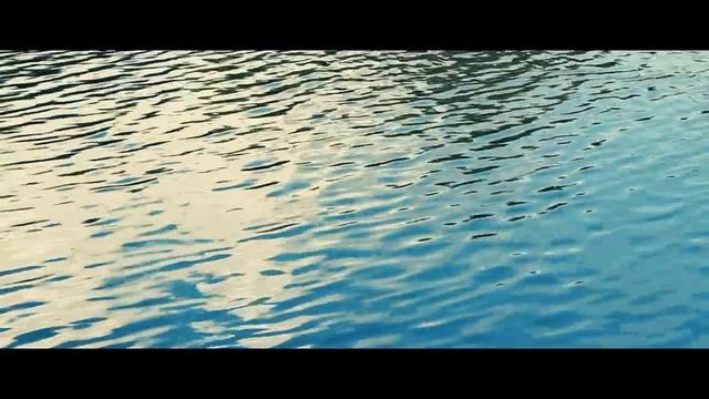 Canon EOS 550D sample video смотреть онлайн