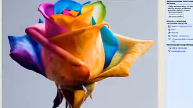 Скачать картинки из интернет смотреть онлайн