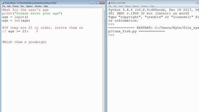 Python 3 Basics (13/34) - if смотреть онлайн