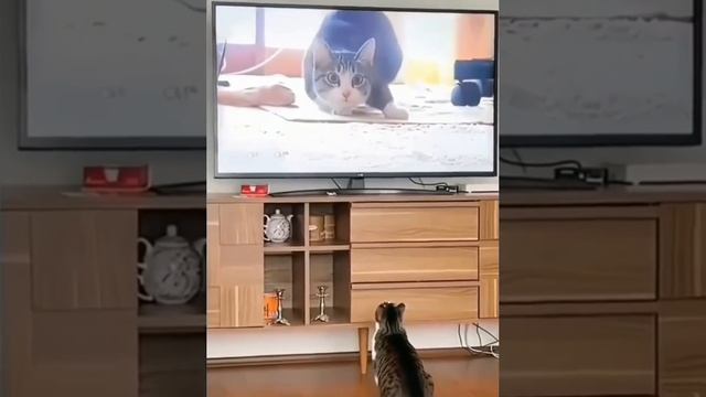 инстинкты подсказали беги #shorts