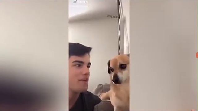 Челенж попробуй не засмеятся смотреть онлайн