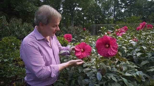 Best Plants for Blooms all Summer | Garden Tour: P. Allen Smith (2019) смотреть онлайн