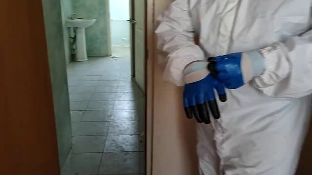 Черная плесень, начало смотреть онлайн