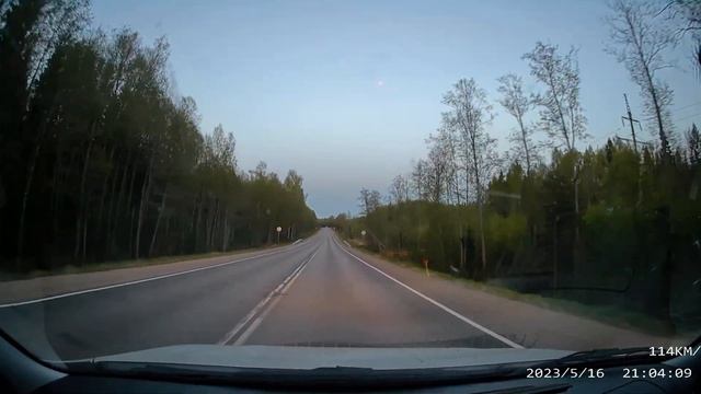 Встреча с лосём смотреть онлайн
