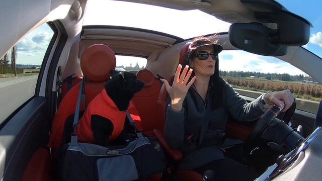 My FIRST VLOG on my Gopro in my Fiat 500 Lounge Cabrio смотреть онлайн