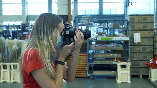 Вкусный хризантемный бренд Pina Colada смотреть онлайн