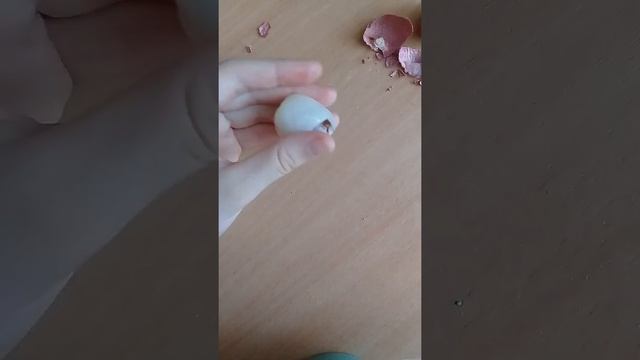 Моё первое видео! Рассказала как есть фрукт ЛИЧИ, или по другому китайская слива смотреть онлайн