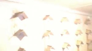 Кировоградские голуби у Александра Спирина