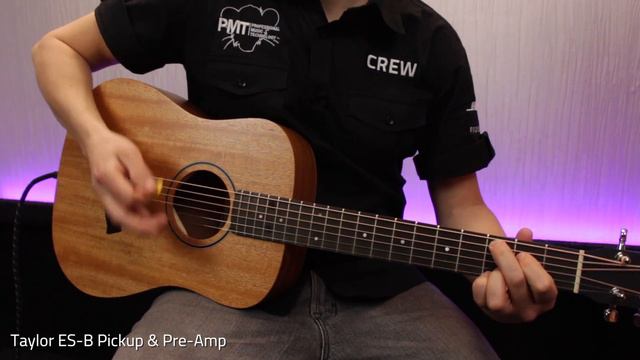 Taylor Baby BT2 Demo - Top 5 Travel Guitars