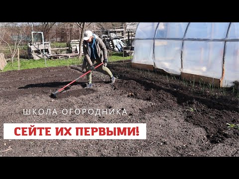 Сейте эти культуры как только сойдёт снег! смотреть онлайн