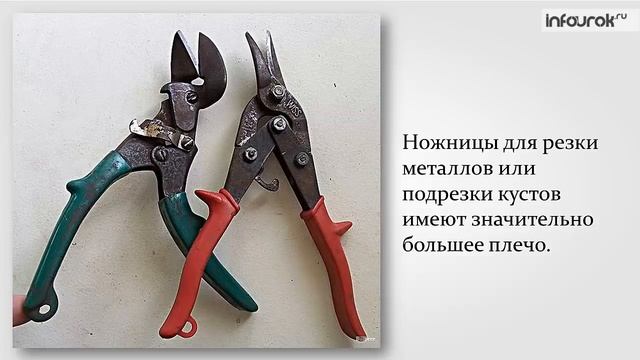 Момент силы. Рычаги в природе, технике, быту | Физика 7 класс #44 | Инфоурок смотреть онлайн