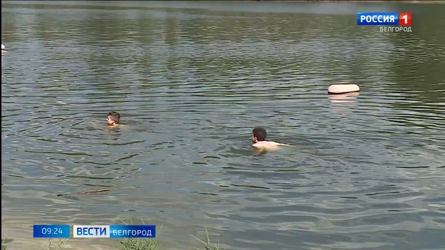 Четыре человека утонули на минувшей неделе в Белгородской области смотреть онлайн