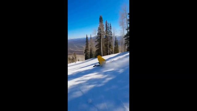 WORLD CUP SKI RACERS FREE SKIING #22 смотреть онлайн