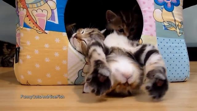 Вот это позы! смотреть онлайн