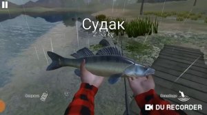 ULTIMATE FISHING SIMULATOR #2 в поисках судака .